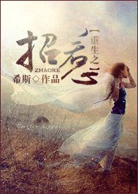 重生之招惹